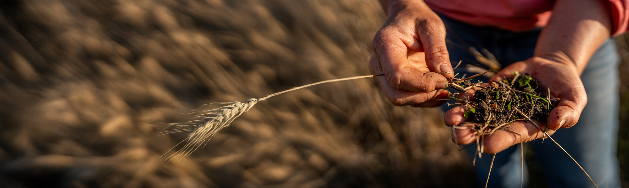 Sustainability Research Rabobank