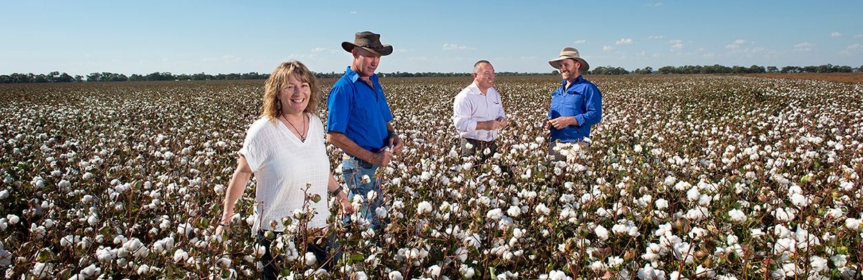 Gardiner Family - Cotton 