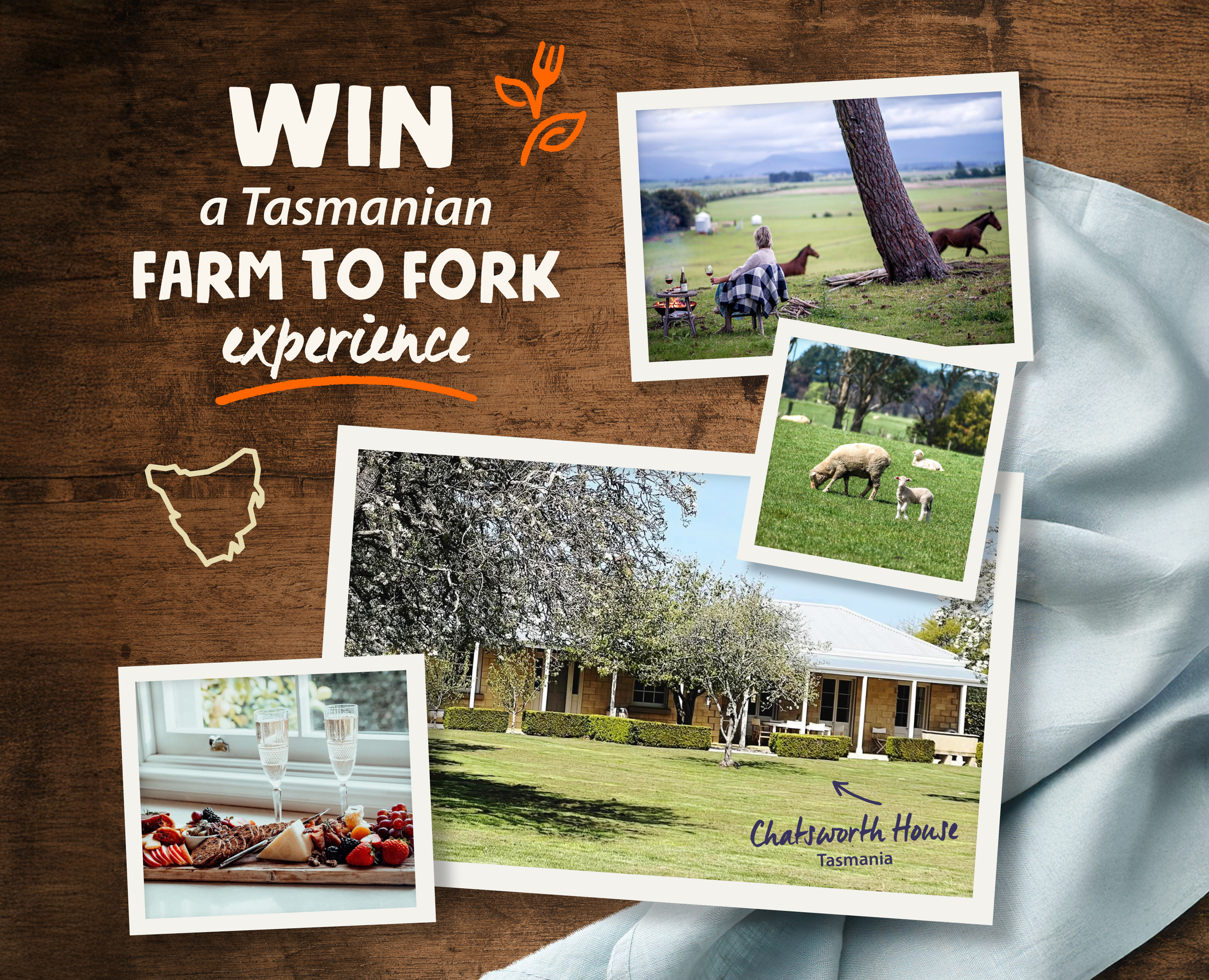 Farm to fork experience