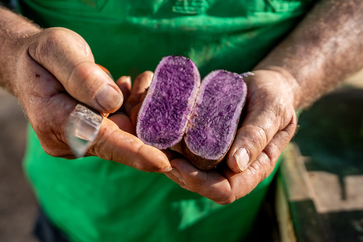 Nature stewardship and productivity go hand-in-hand