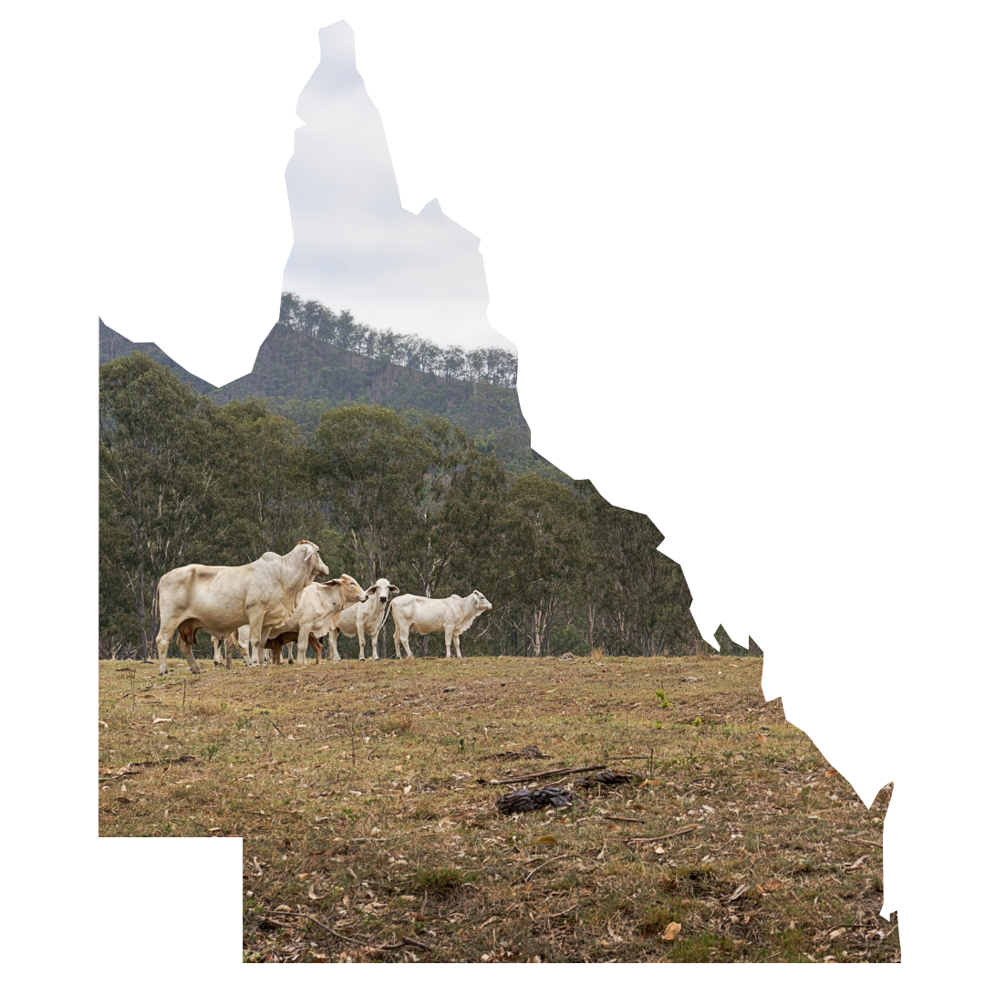 Land Values Outlook - web version - 5