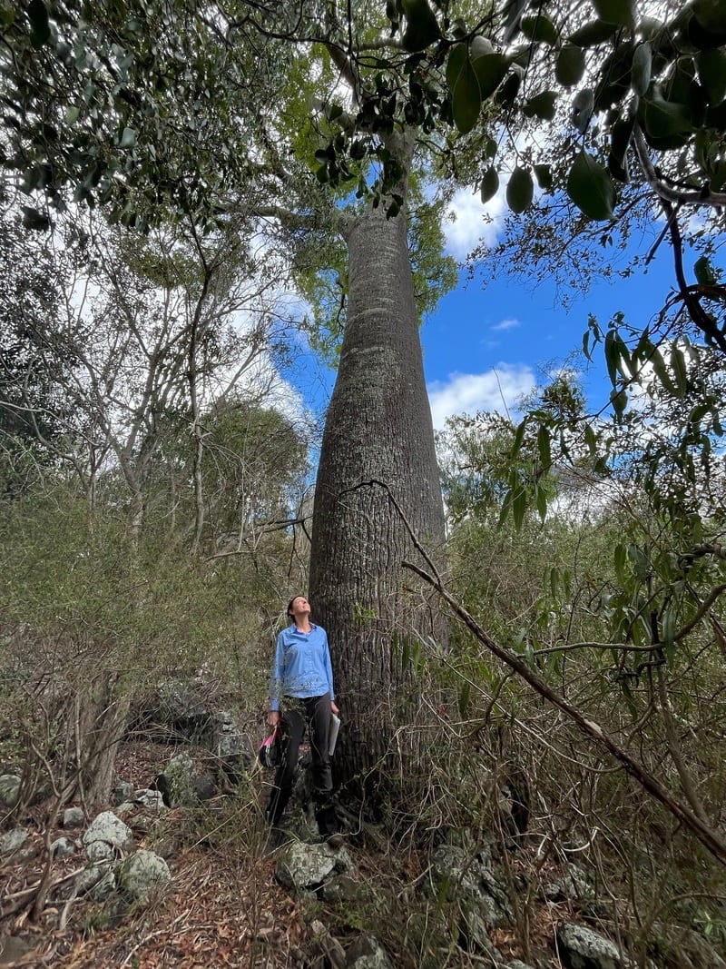 From the Land to Leadership: Ally Osborne’s Sustainability Story 