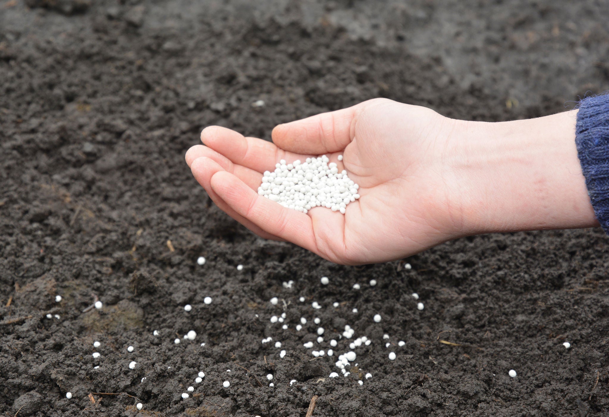 Urea