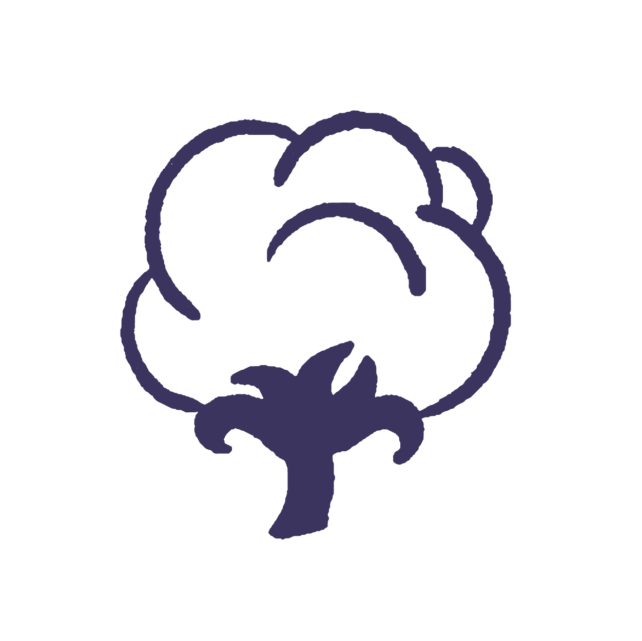 cotton icon