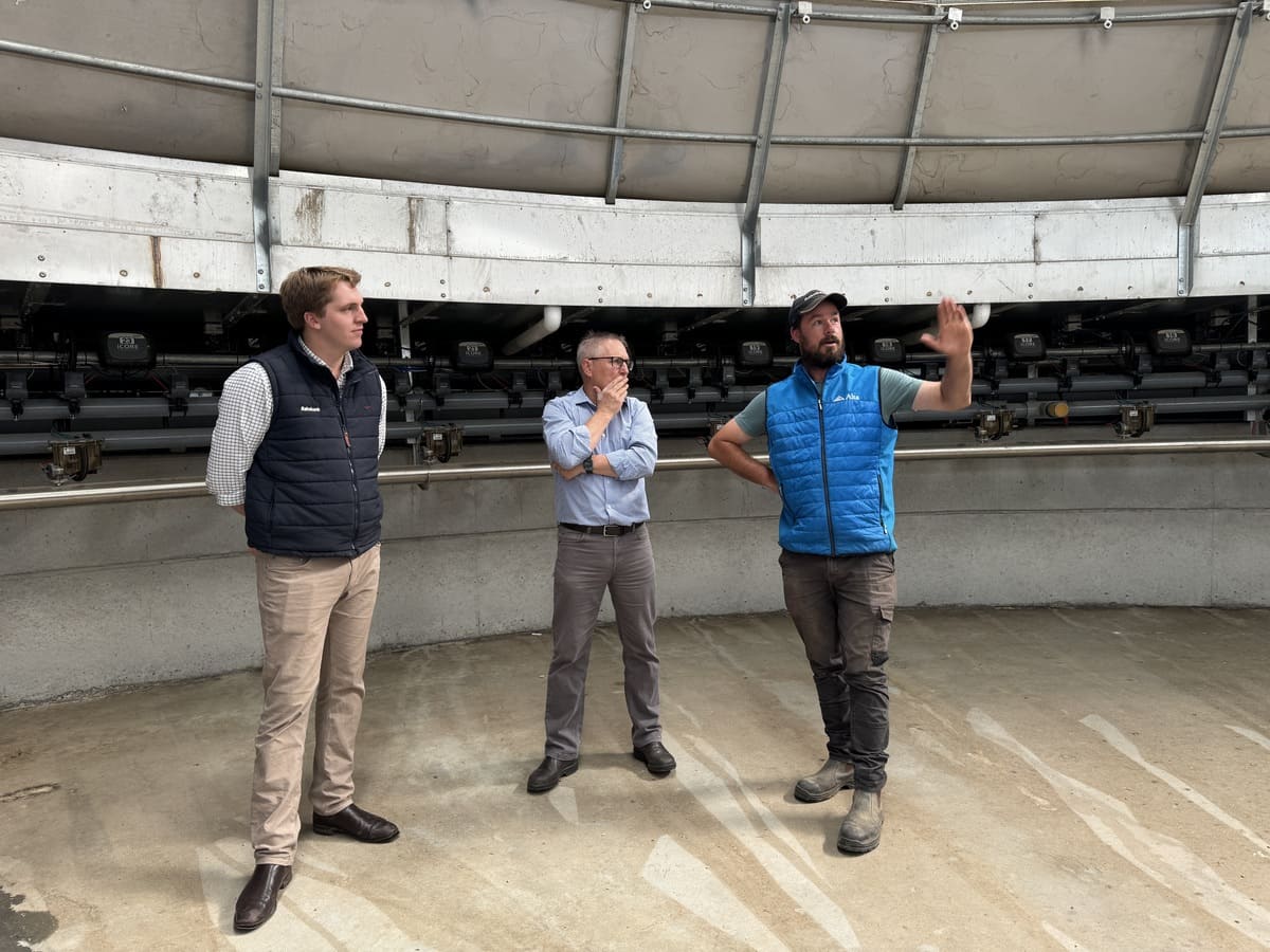 Rabobank’s Alex Bennett and Craig Hoober with Callum Moscript, touring the Moscript family’s recent dairy expansion.