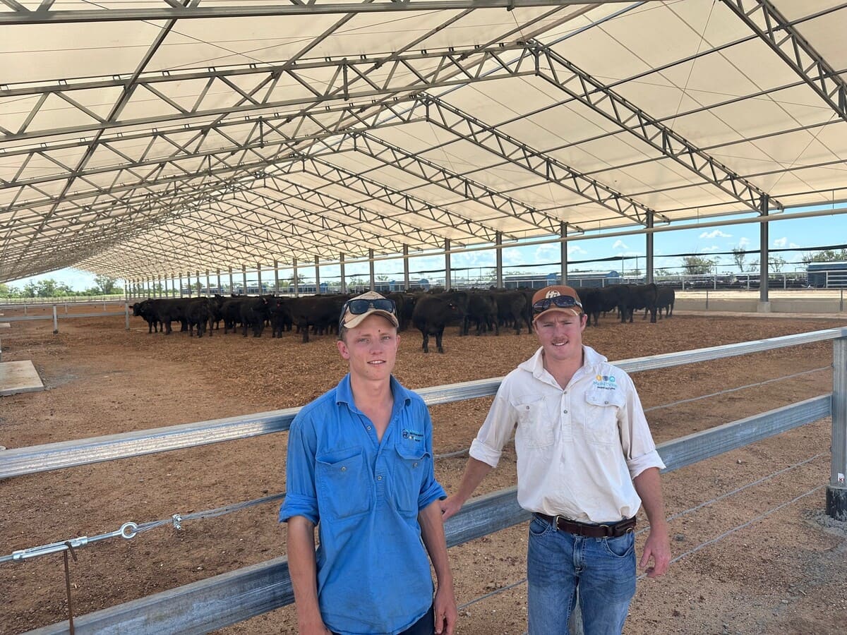 Campbell and Finlay McIntyre at the family’s new feedlot sheds at Mooramanna, St George