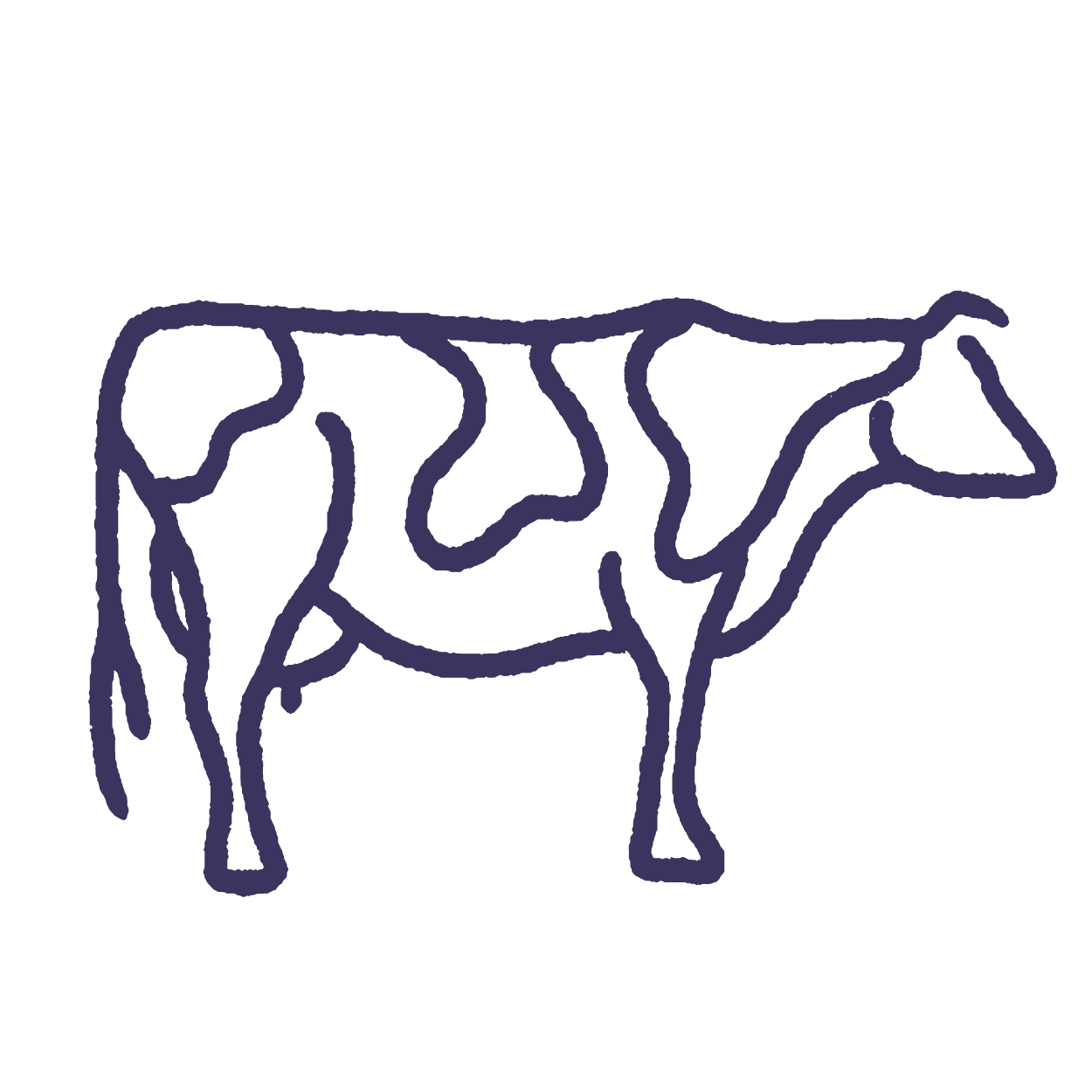 dairy icon