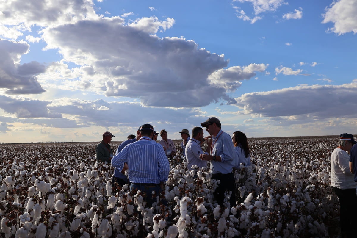 The tour group enjoying some on the ground insights in Brazil
