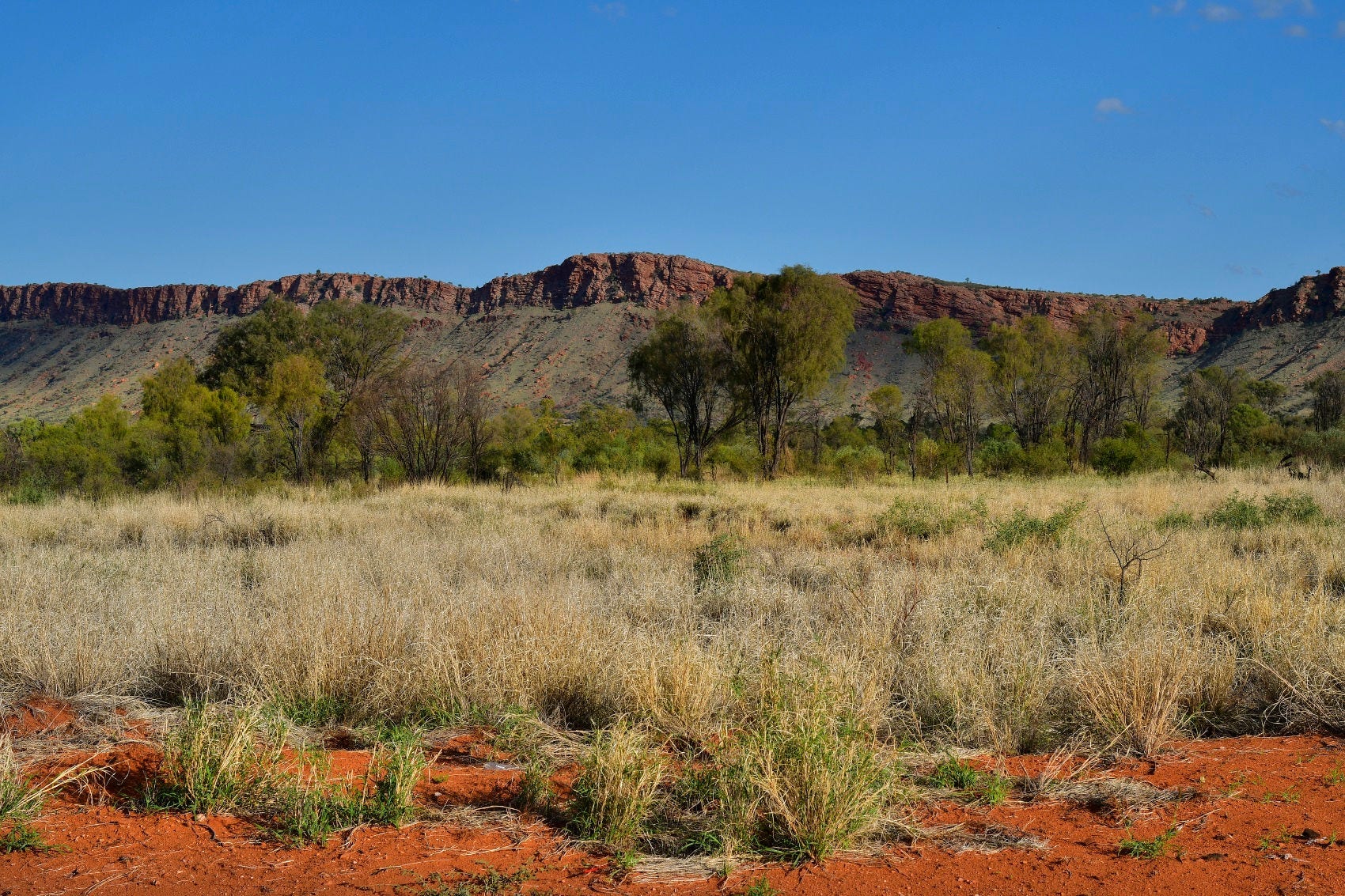 Australia, NT, pasture in West McDonnell Range national park