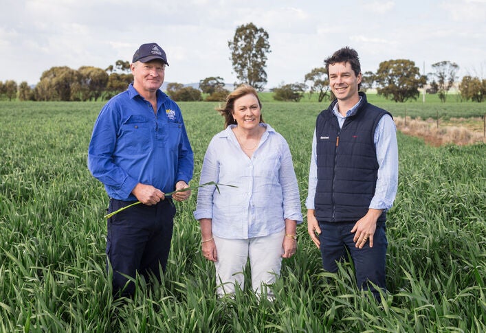 From cows to cropping, the Sexton family’s bold business pivot pays off