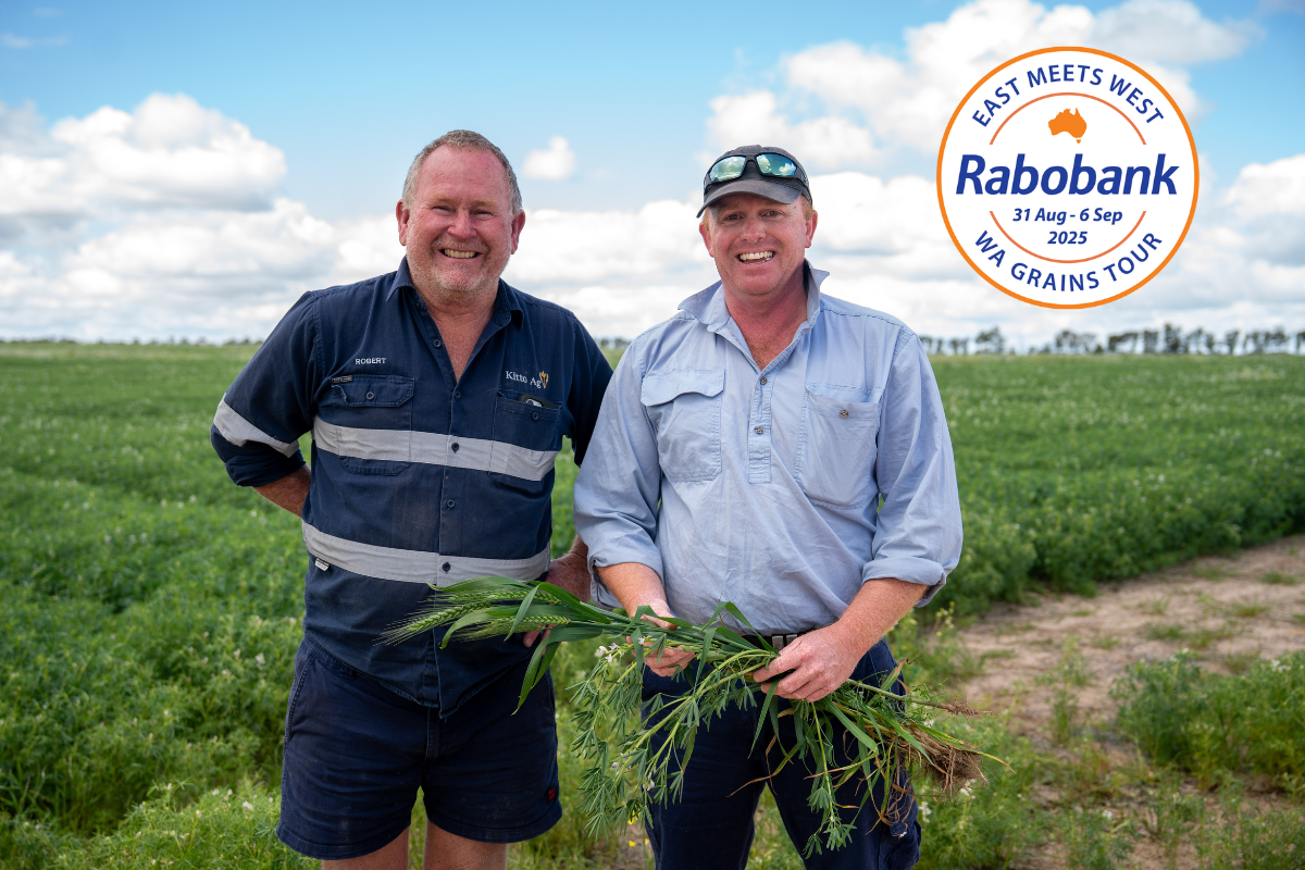 Untitled (1200 x 800 px) - 31072025-perth-branch