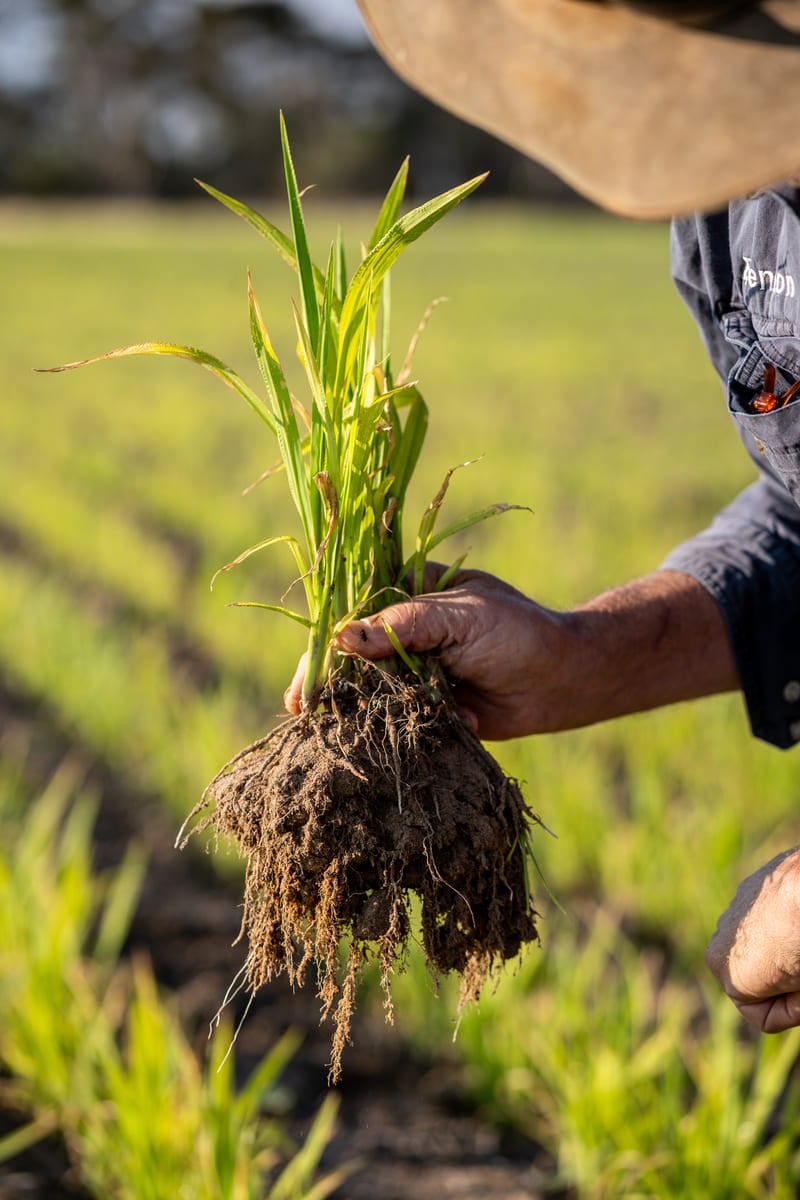 Building business and climate resilience