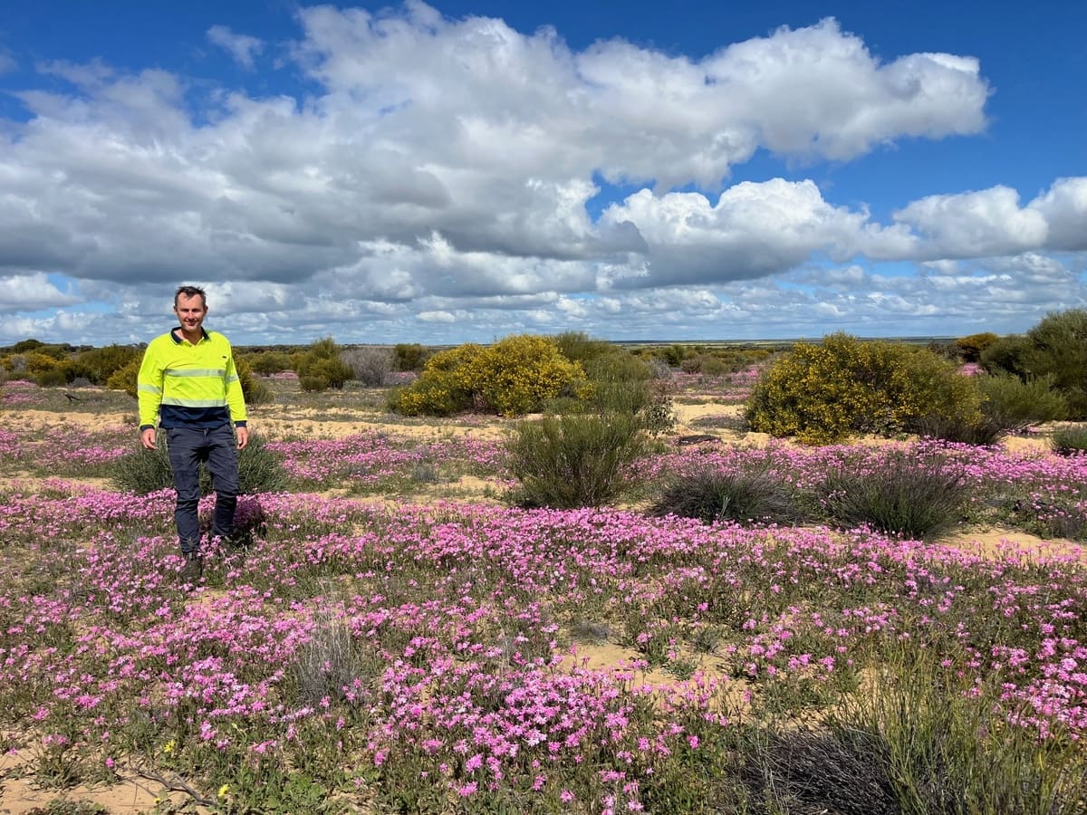 For Bob and Amanda Nixon, natural capital embodies the “co-benefits” of holistic landscape management, which stems from healthy productive soils, enhanced biodiversity through revegetation and the preservation of remnant vegetation.