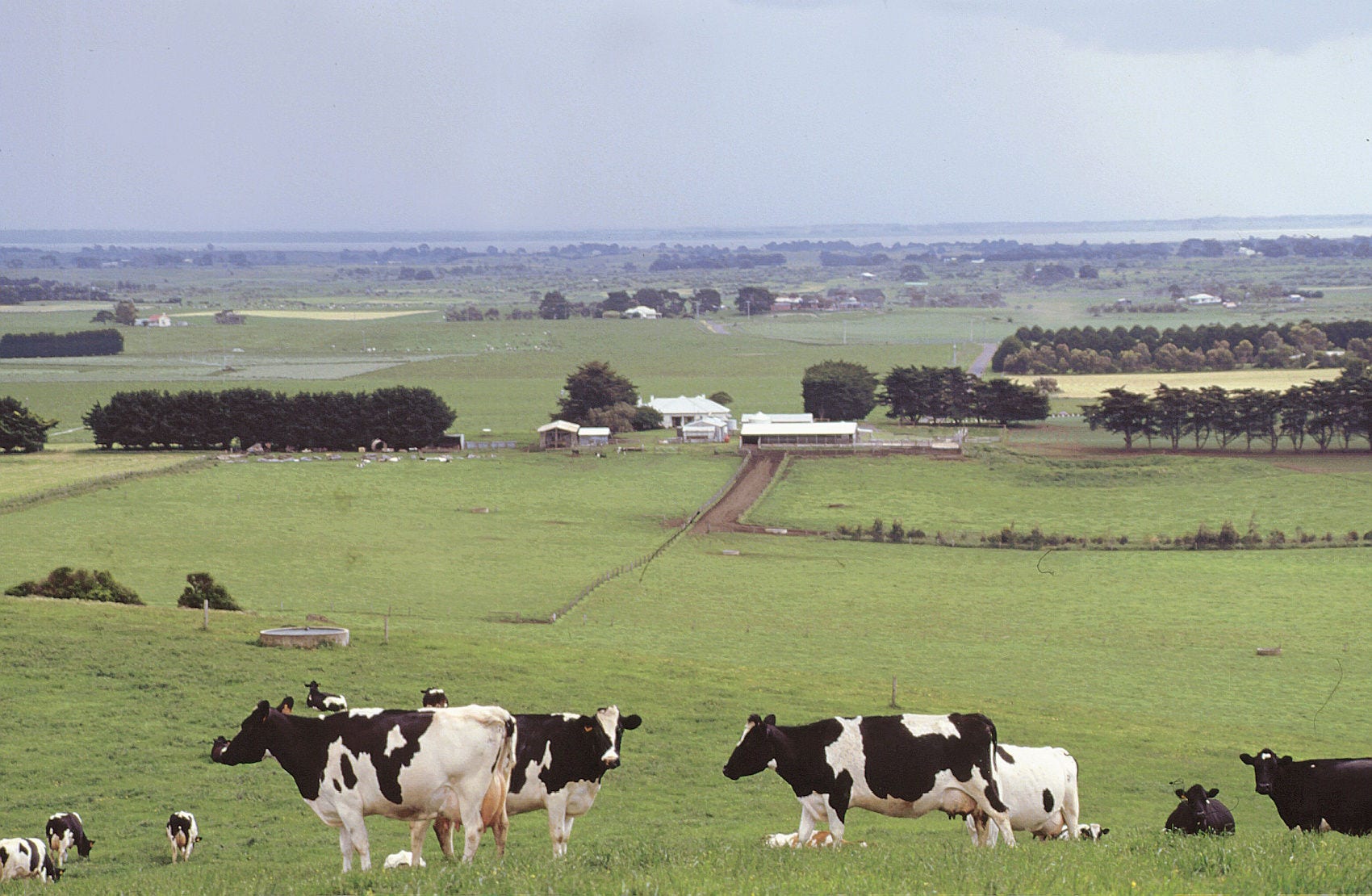 Meet the Warrnambool Team