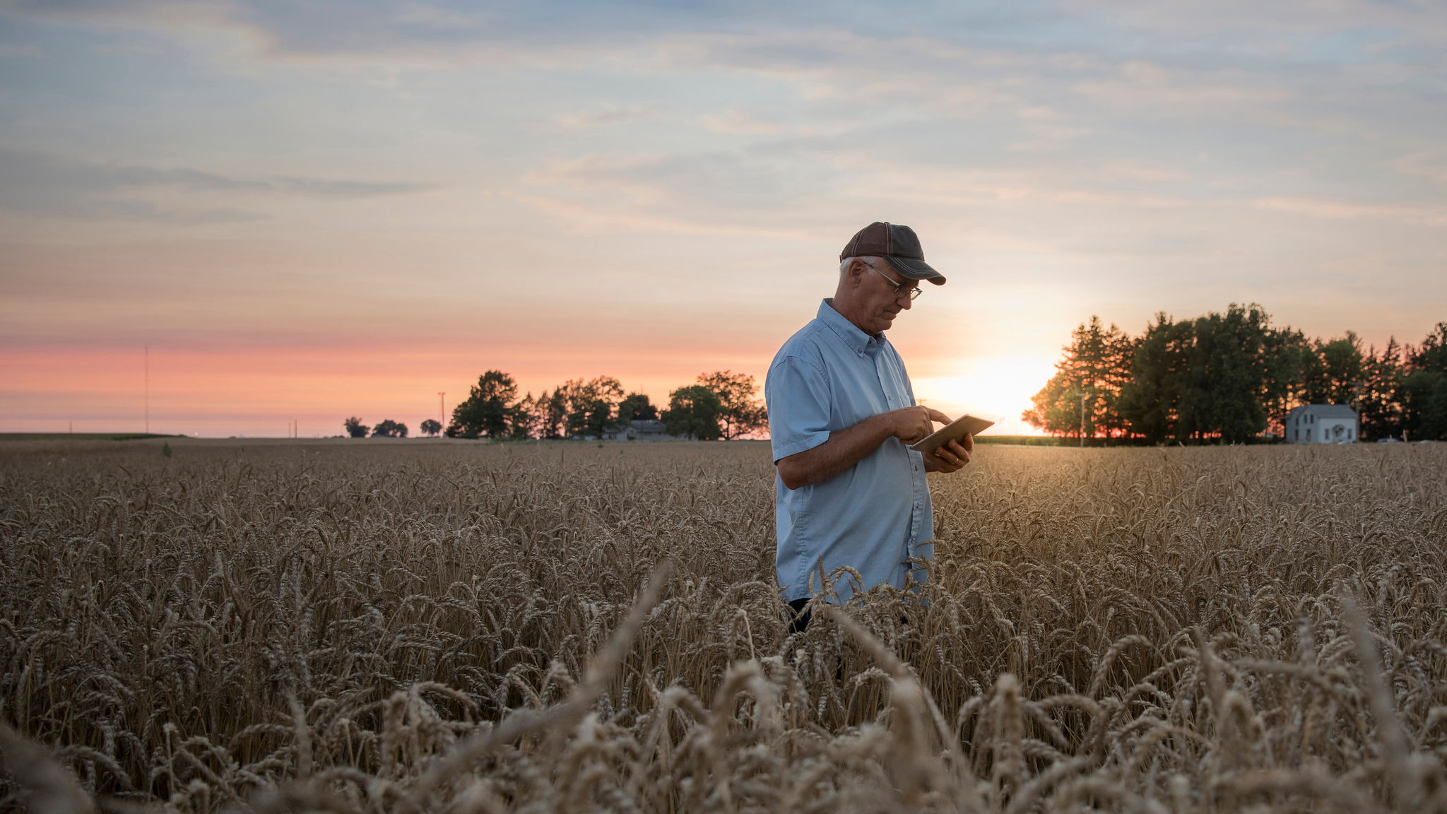 Distant Caucasian man using digital tablet in field of wheat