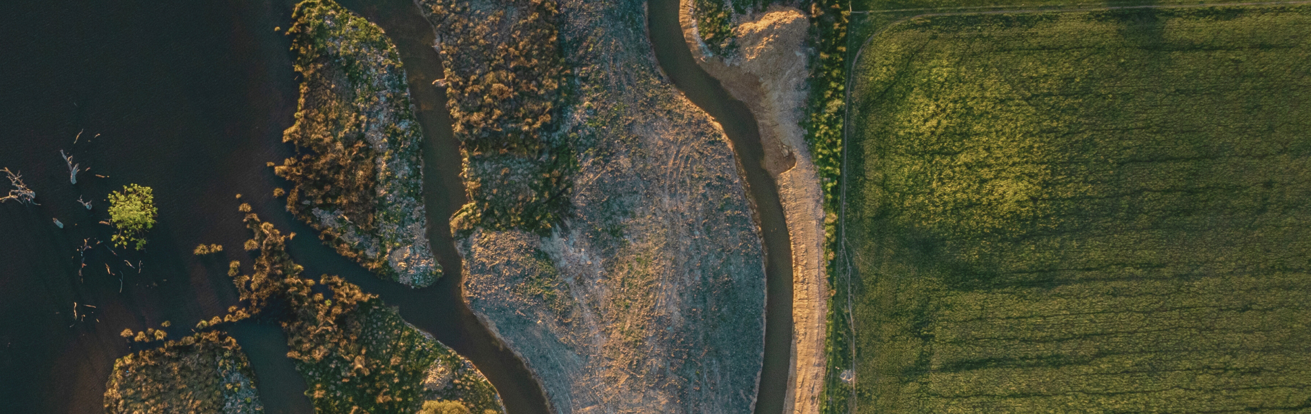Sustainability Insights and Stories