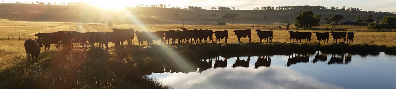 Agricultural & Rural Sponsorships
