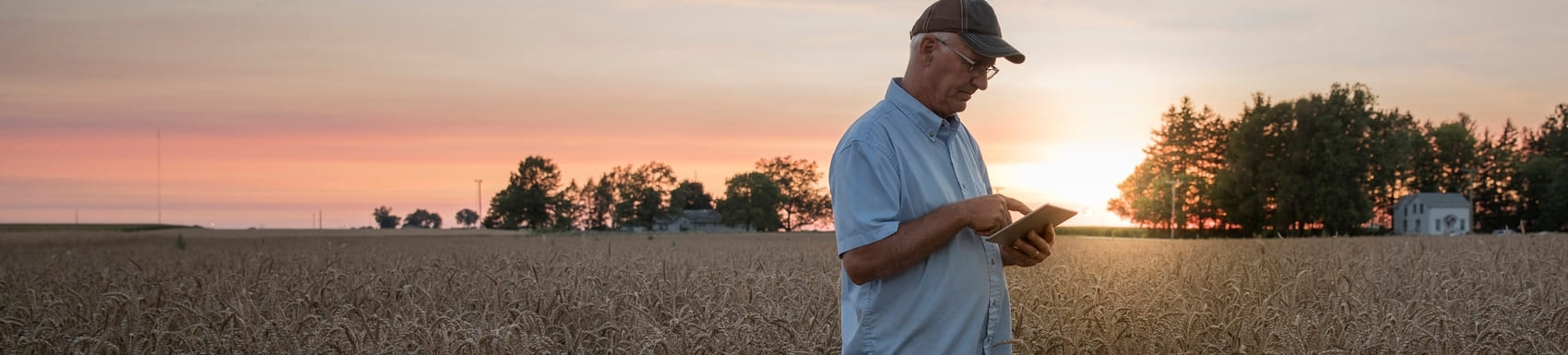 Distant Caucasian man using digital tablet in field of wheat