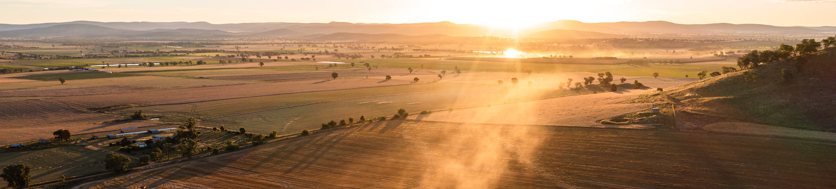 Machine harvesting in wheat paddock