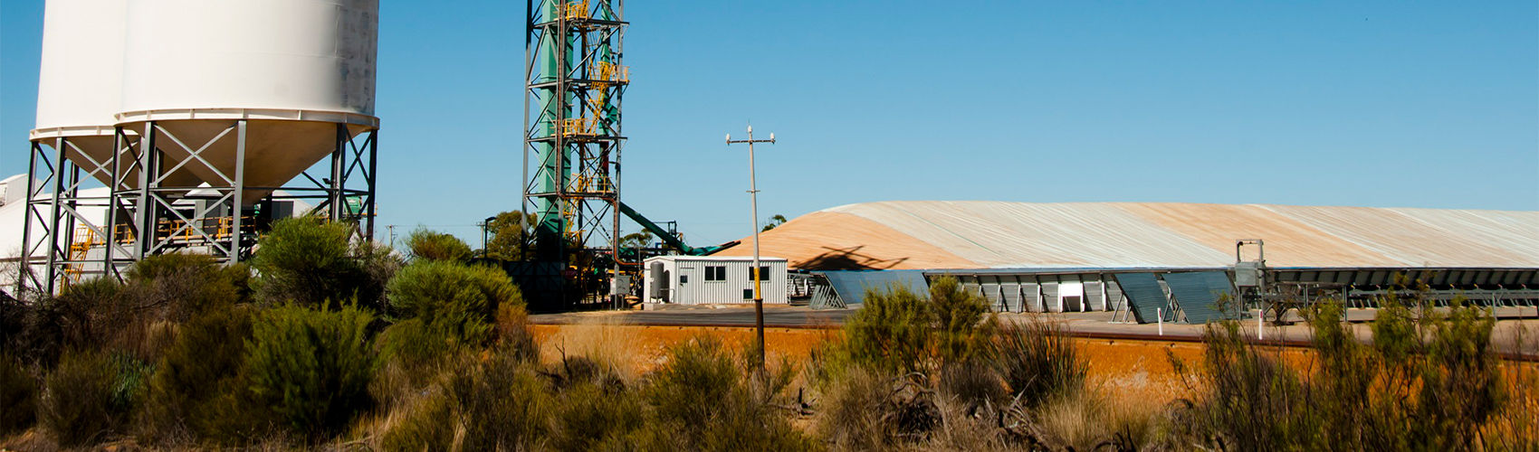 Meet the Dalwallinu Team