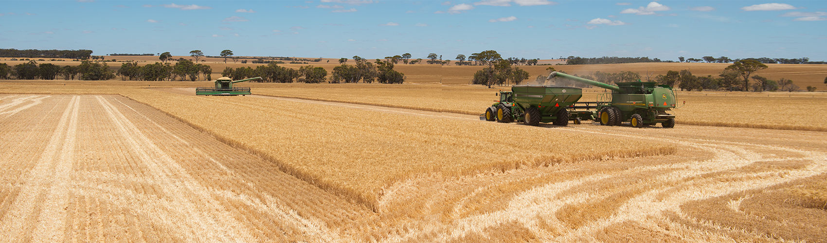 Narrogin Branch