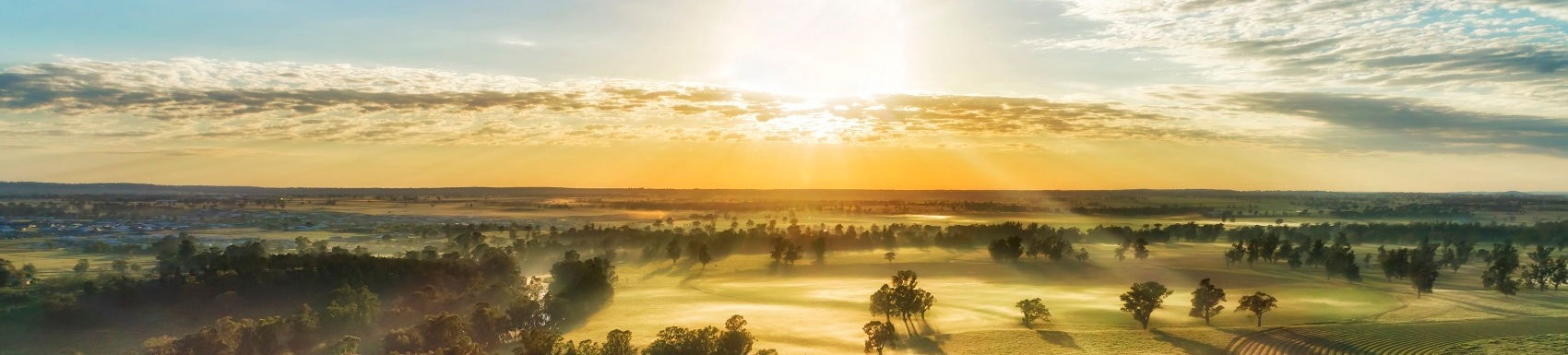 Dubbo branch