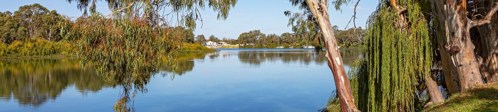 Renmark Branch