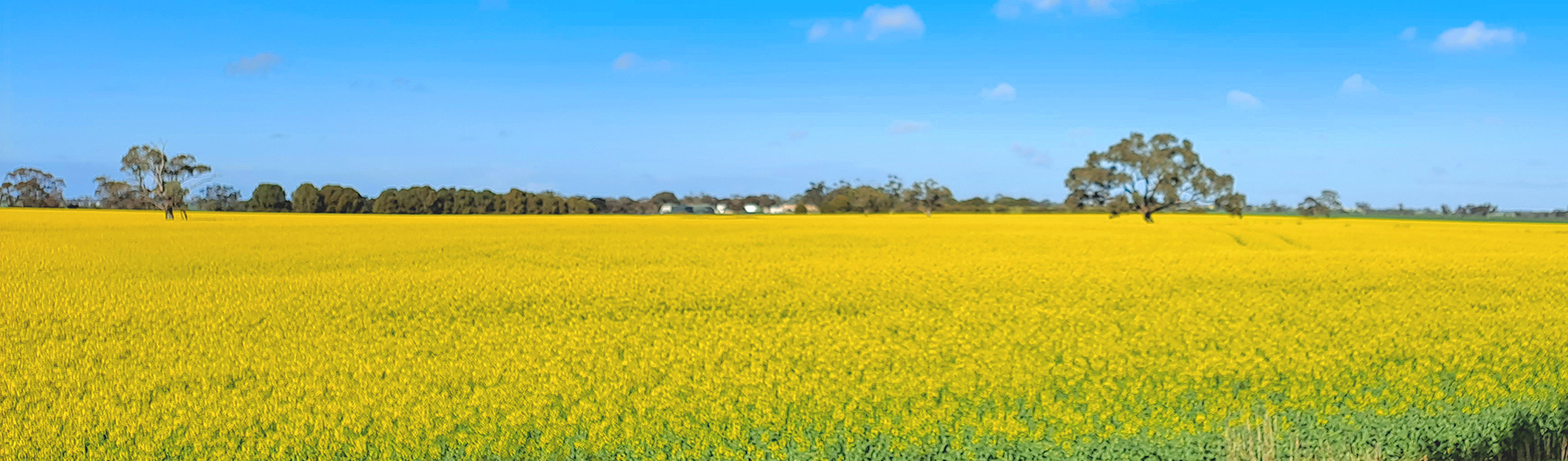 Horsham Branch Header