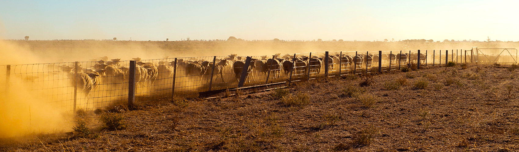 Longreach Branch