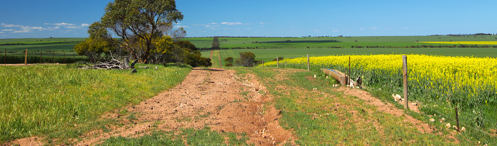 Kadina Branch