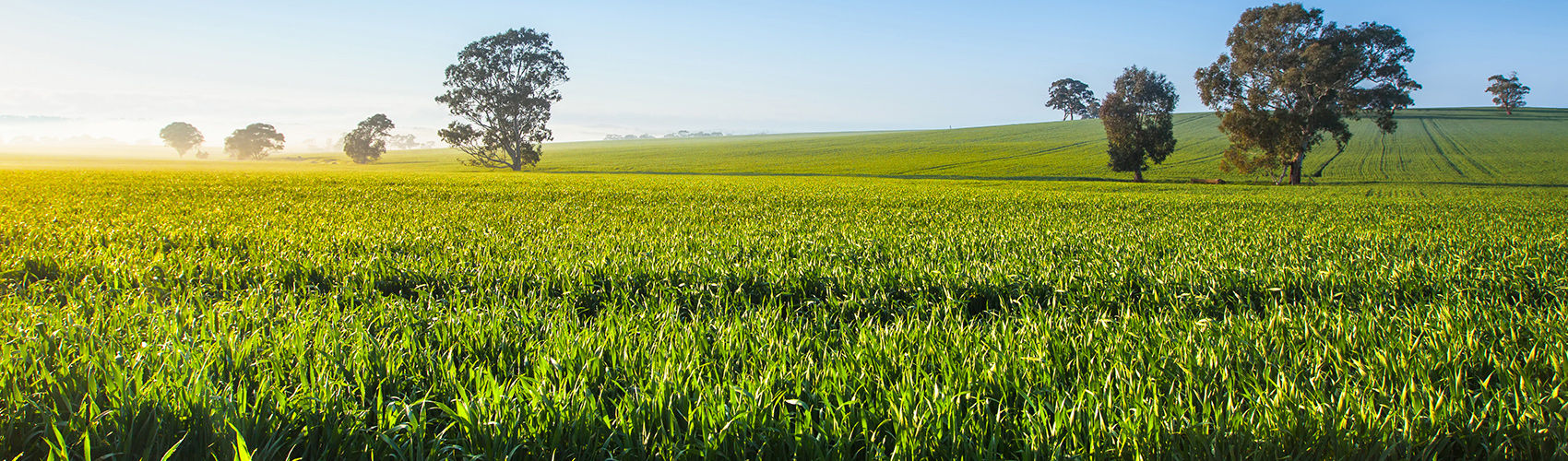Clare Branch Header