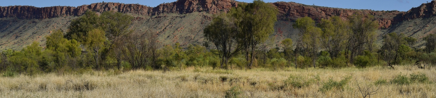 Australia, NT, pasture in West McDonnell Range national park