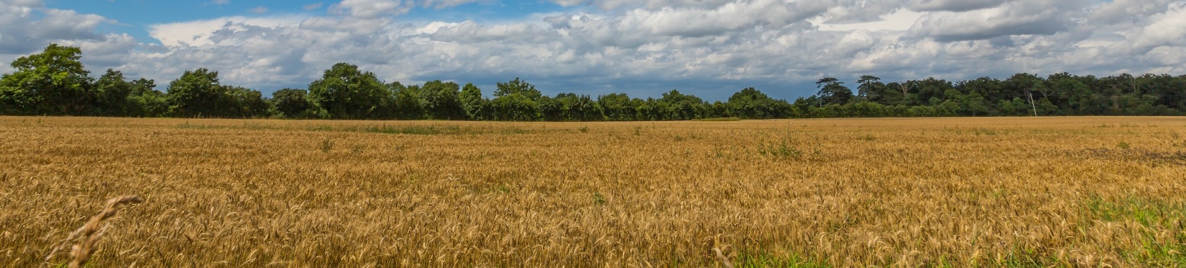 Dalby Branch