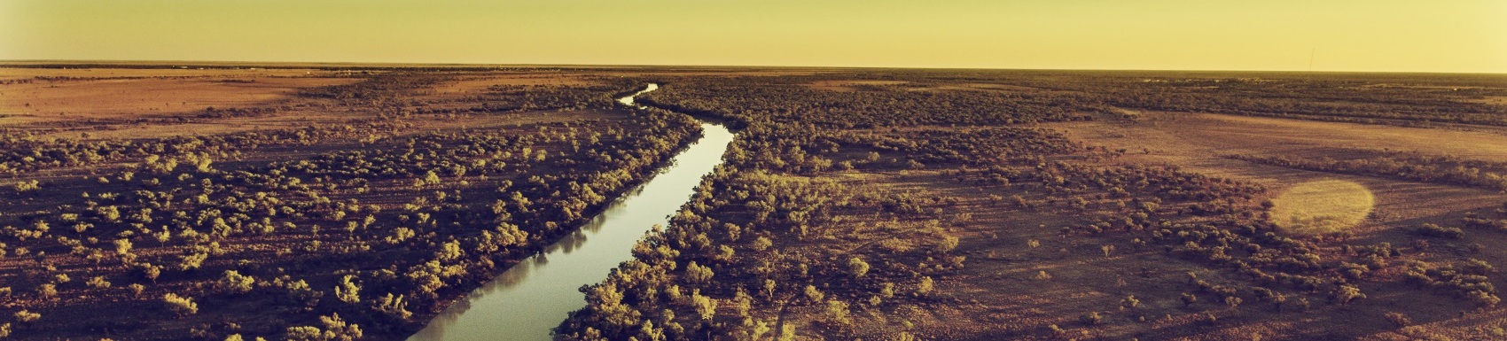 Longreach Branch