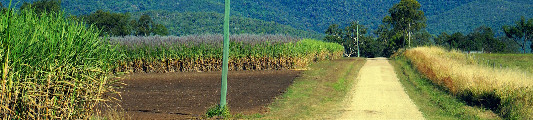 Mackay Branch