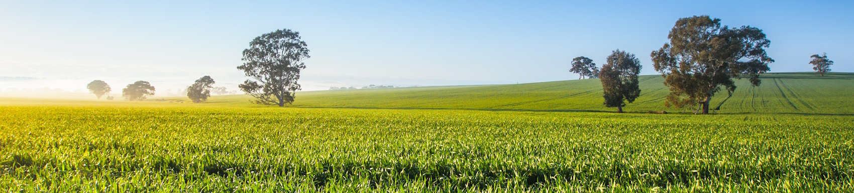 Clare Branch Header