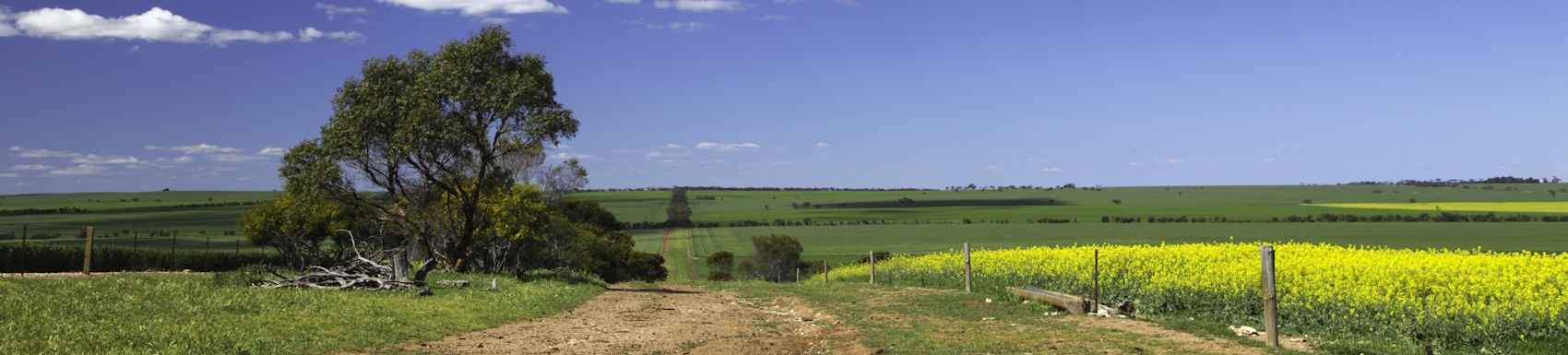 Kadina Branch