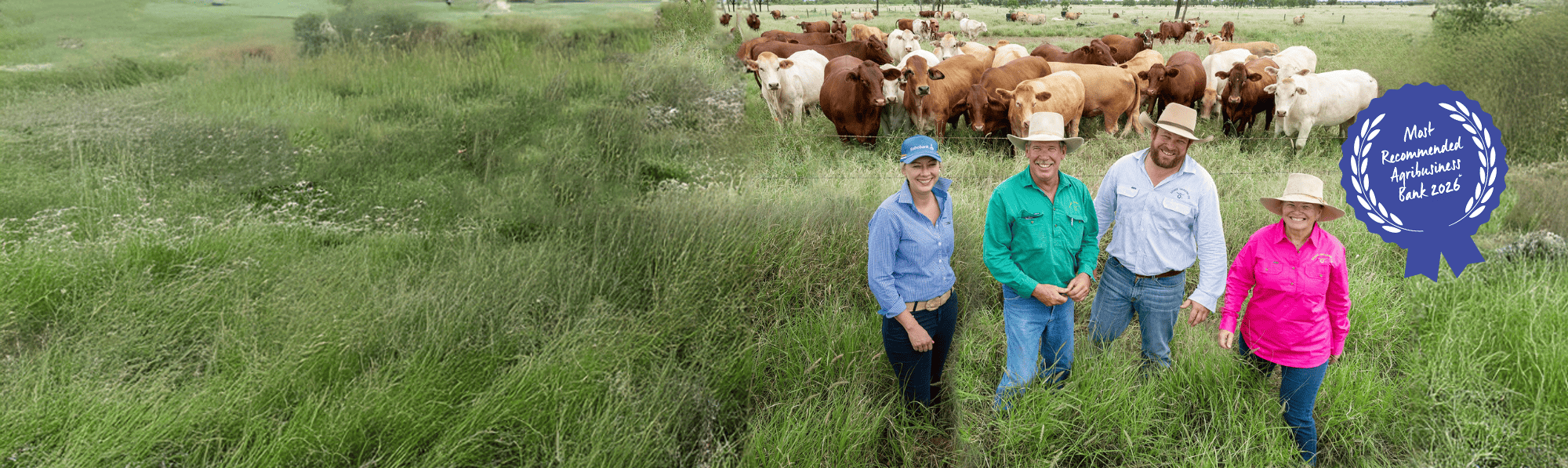 Most recommended Agribusiness Bank*