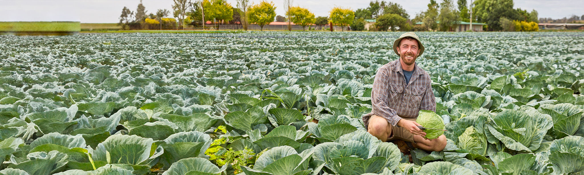 farmer