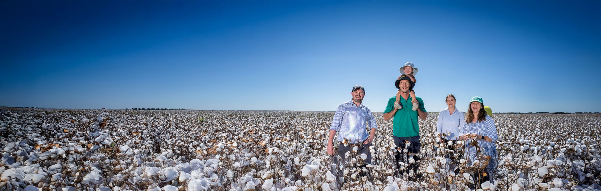 family in cotton field