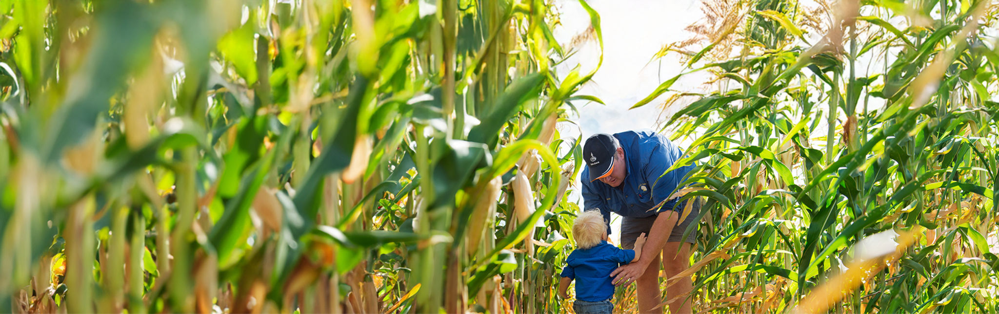 family in crops