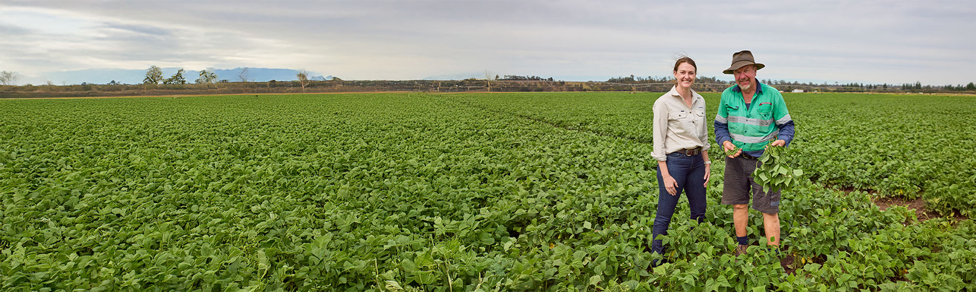 farmers