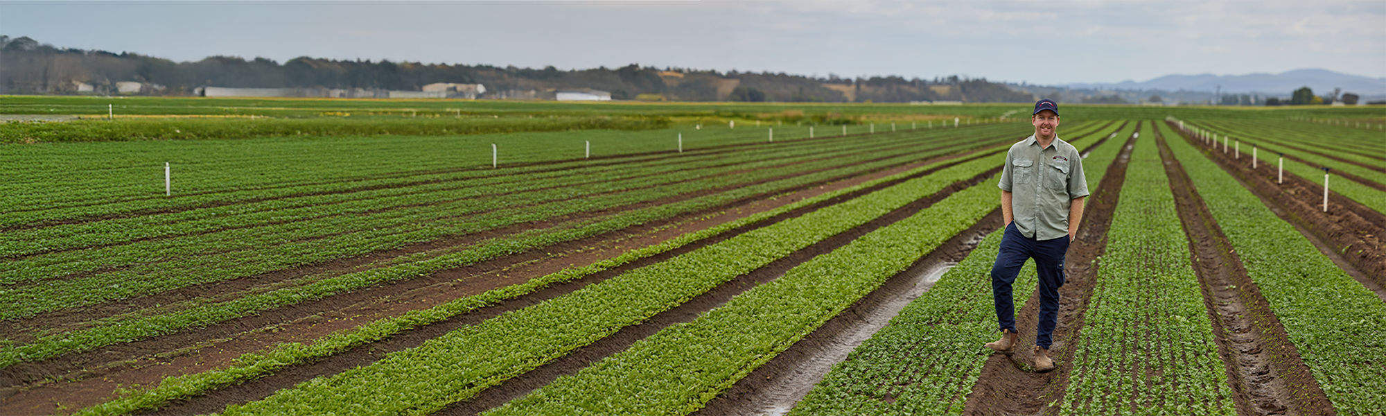 agribusiness