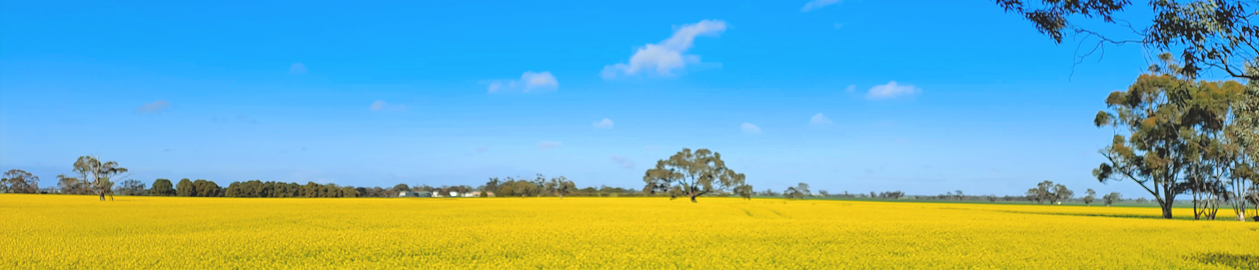 Horsham Branch Header