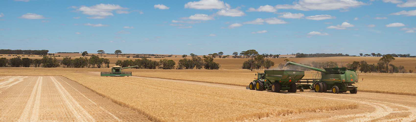 Narrogin Branch