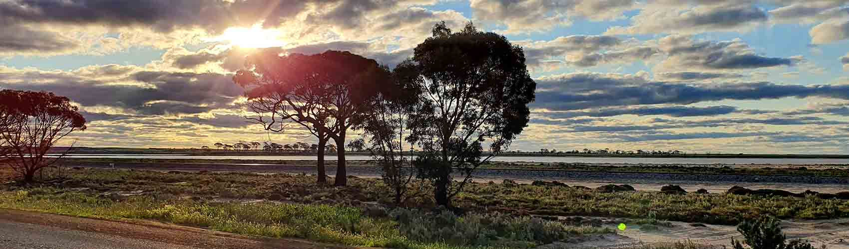 Lake Grace Branch