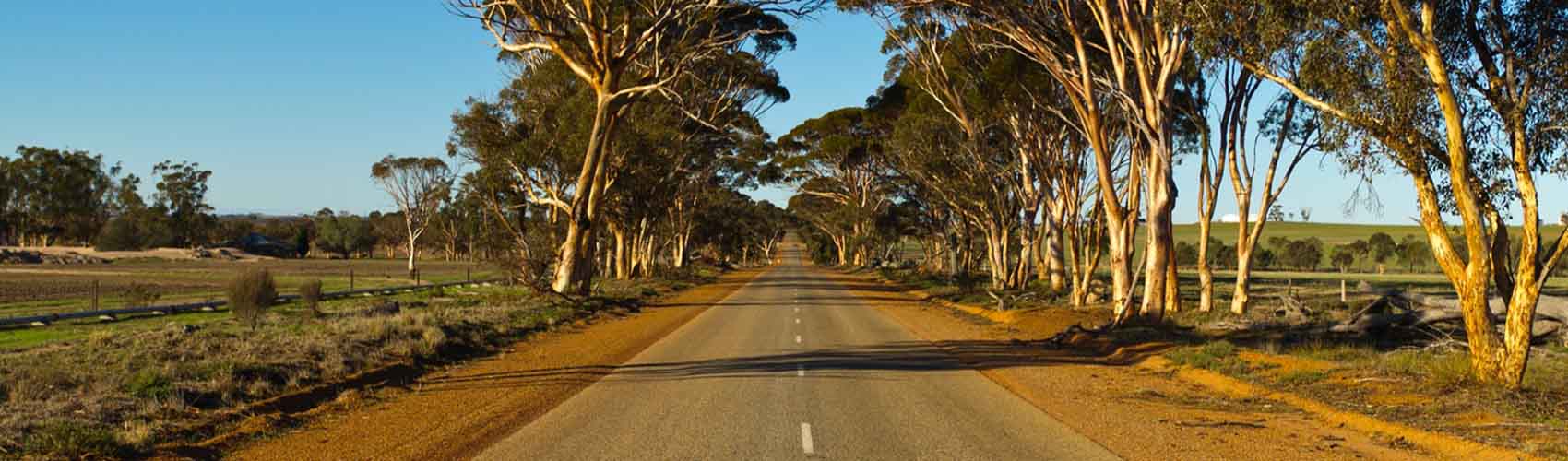 Merredin Branch
